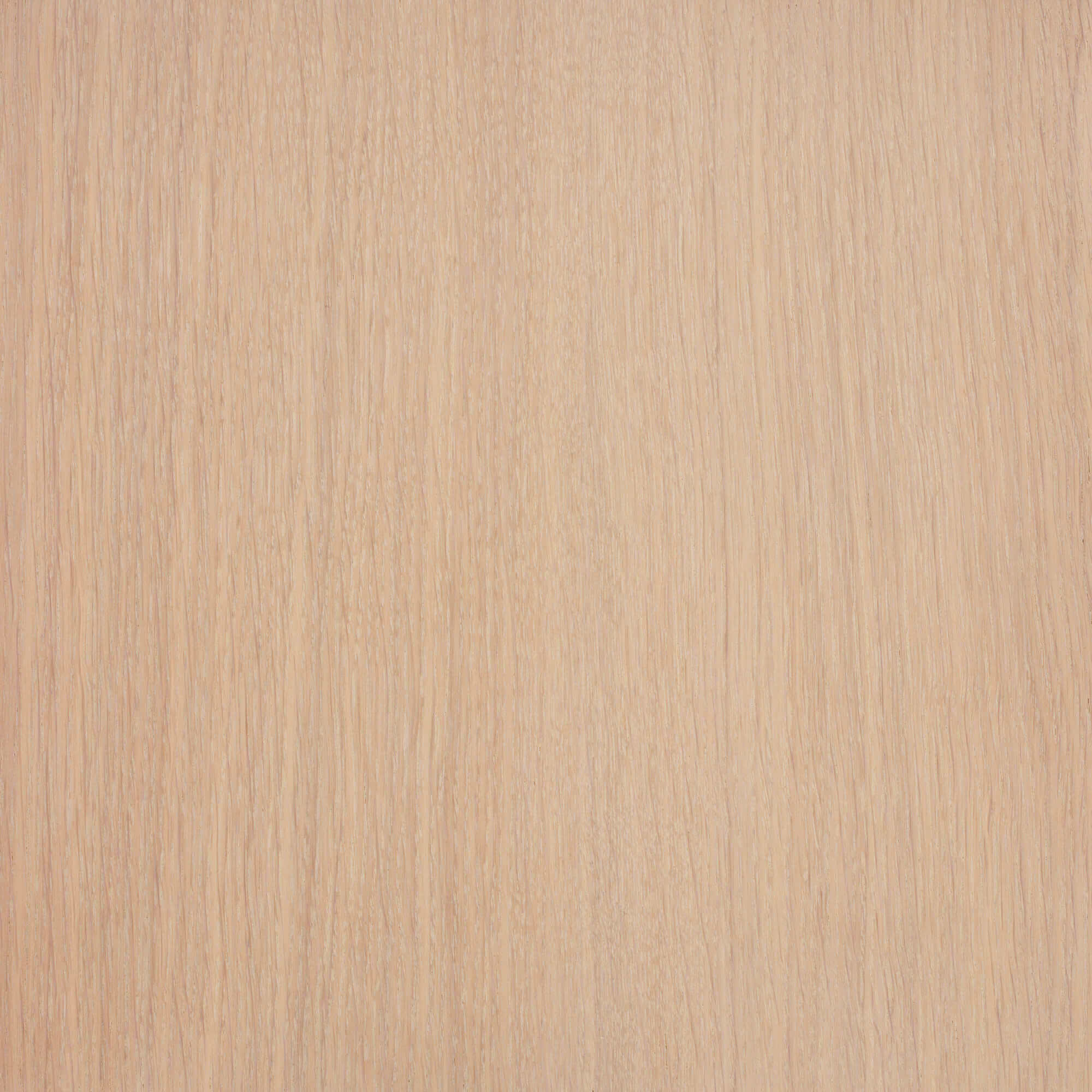 Oil Plus 2C - 1.3 Liter - Image 109