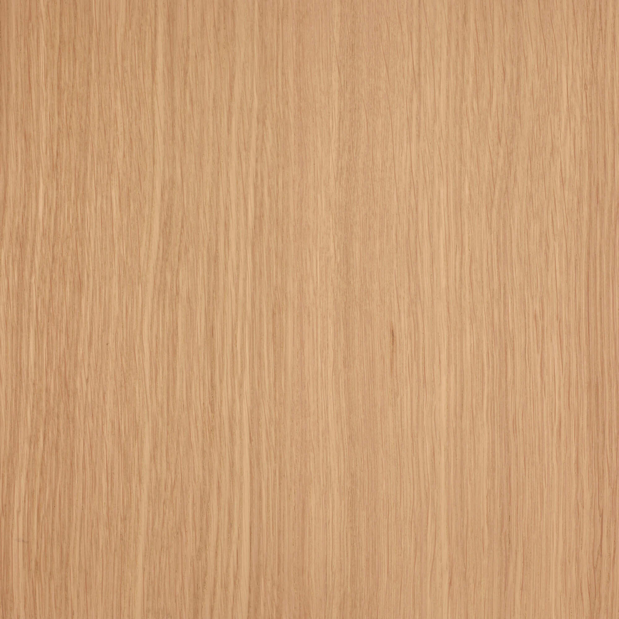 Oil Plus 2C - 1.3 Liter - Image 121