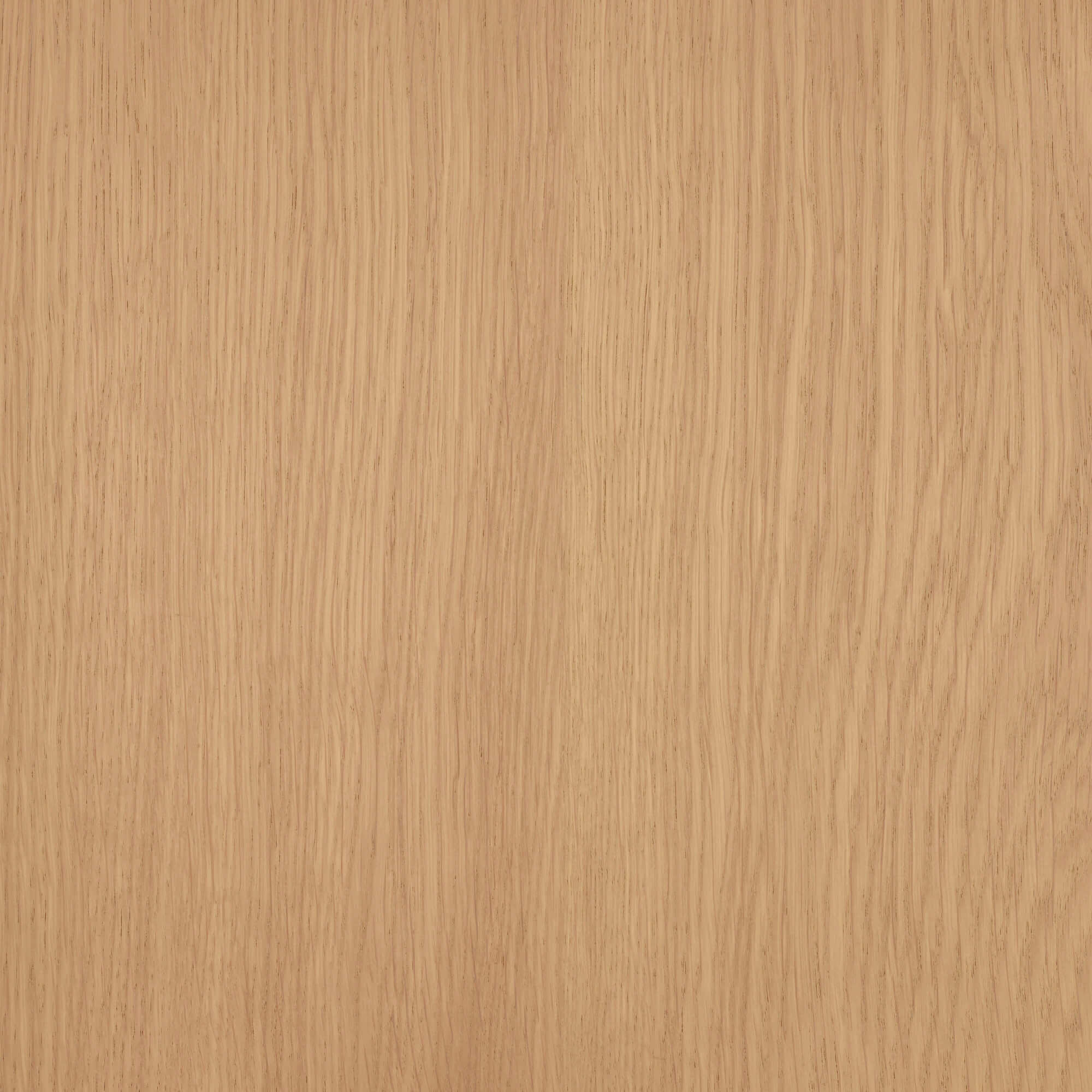 Oil Plus 2C - 1.3 Liter - Image 91