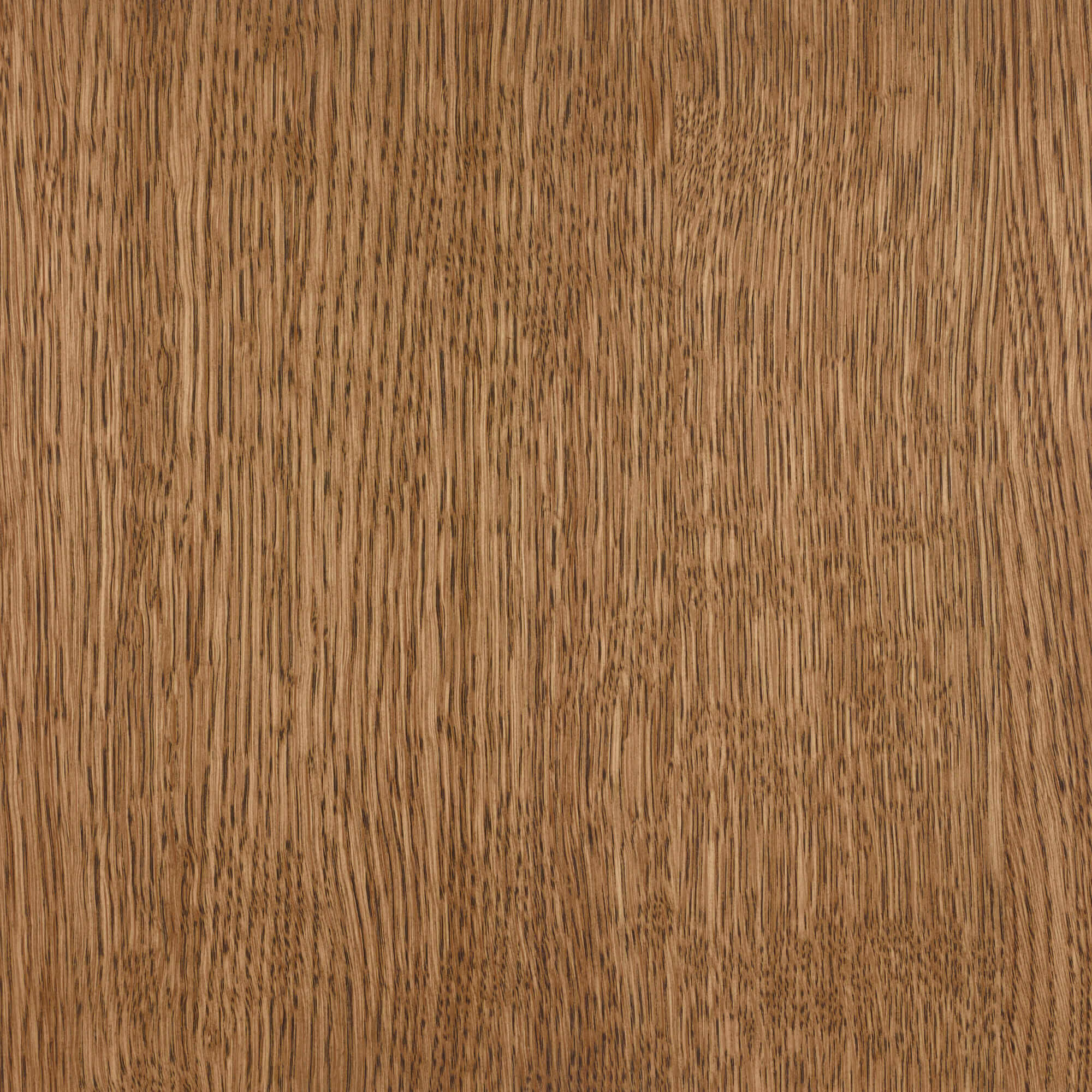 Oil Plus 2C - 1.3 Liter - Image 70