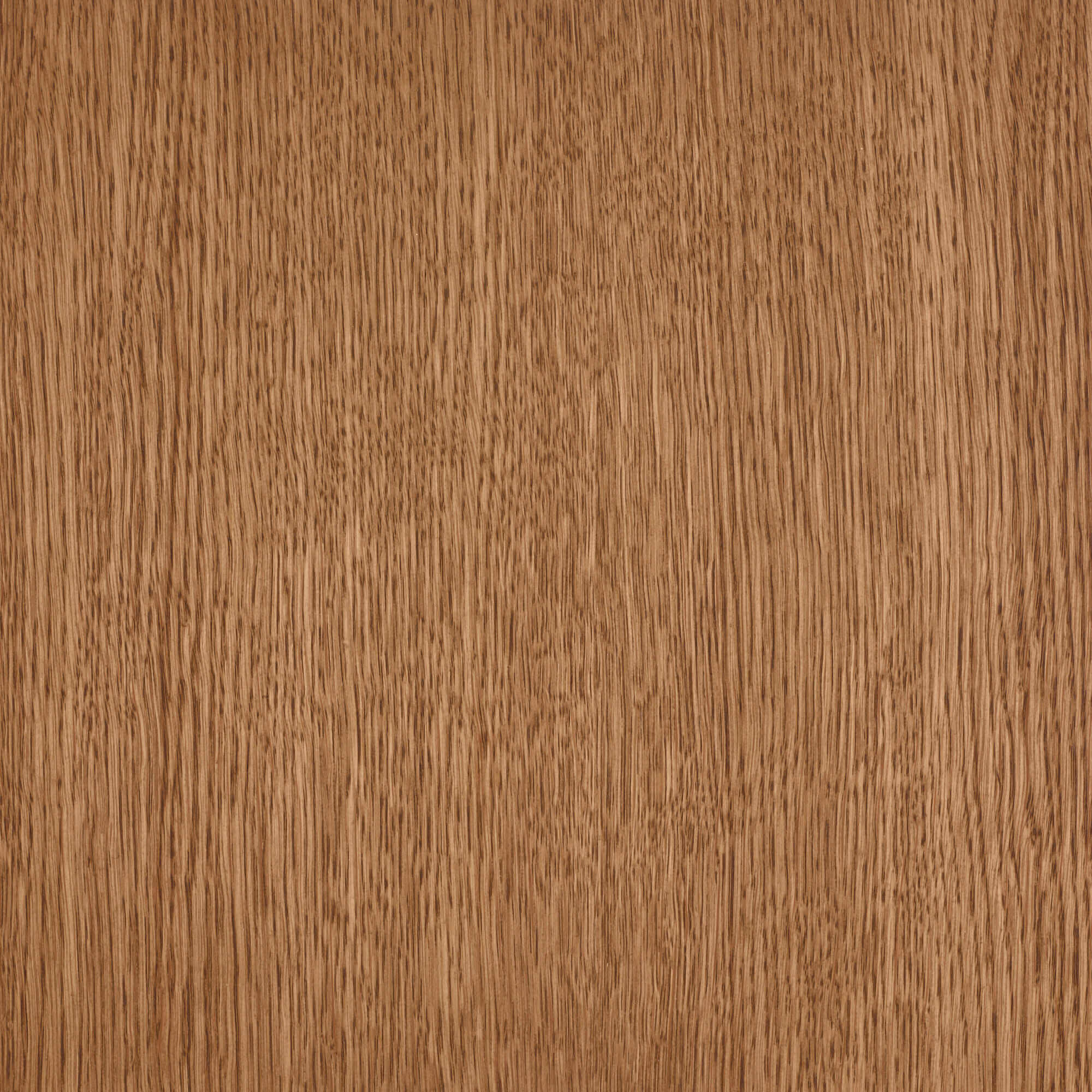 Oil Plus 2C - 1.3 Liter - Image 55