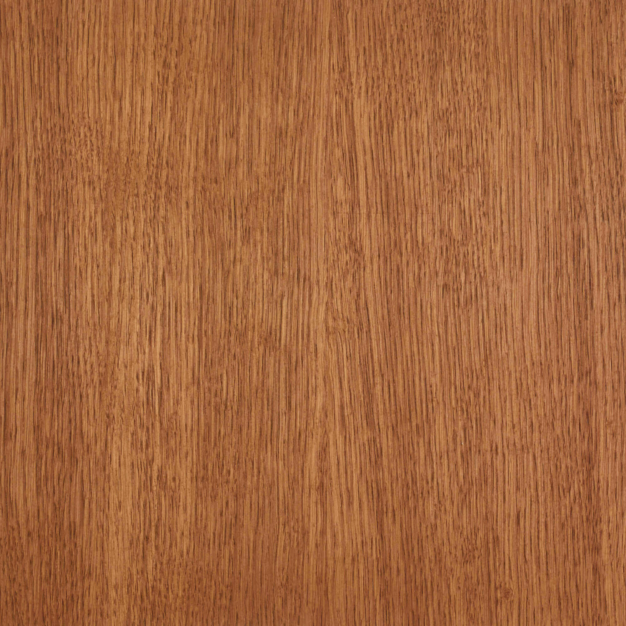 Oil Plus 2C - 1.3 Liter - Image 61