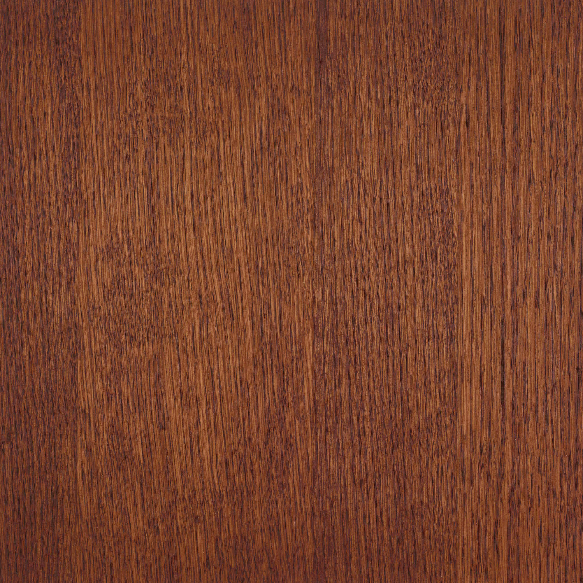 Oil Plus 2C - 1.3 Liter - Image 64