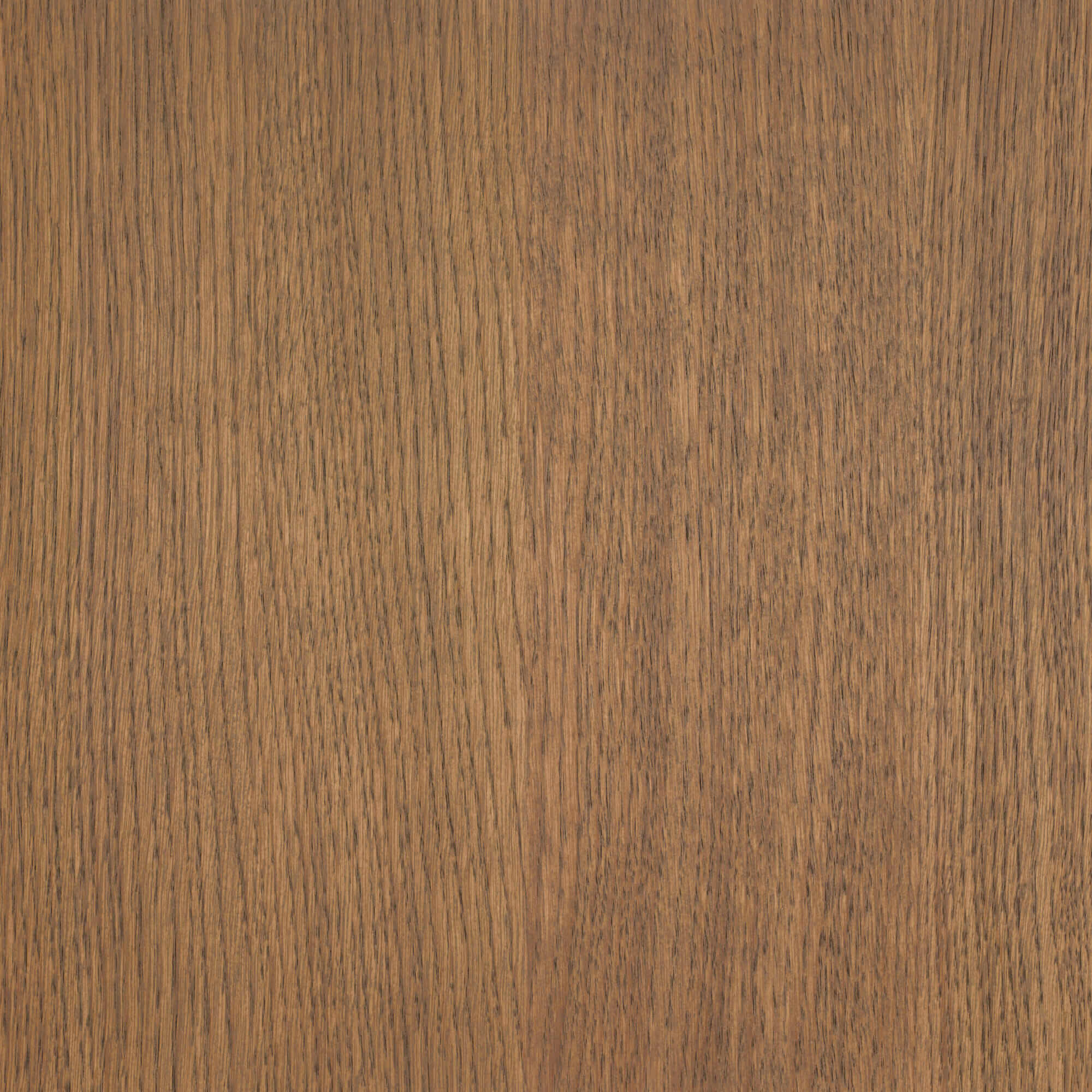 Oil Plus 2C - 1.3 Liter - Image 7