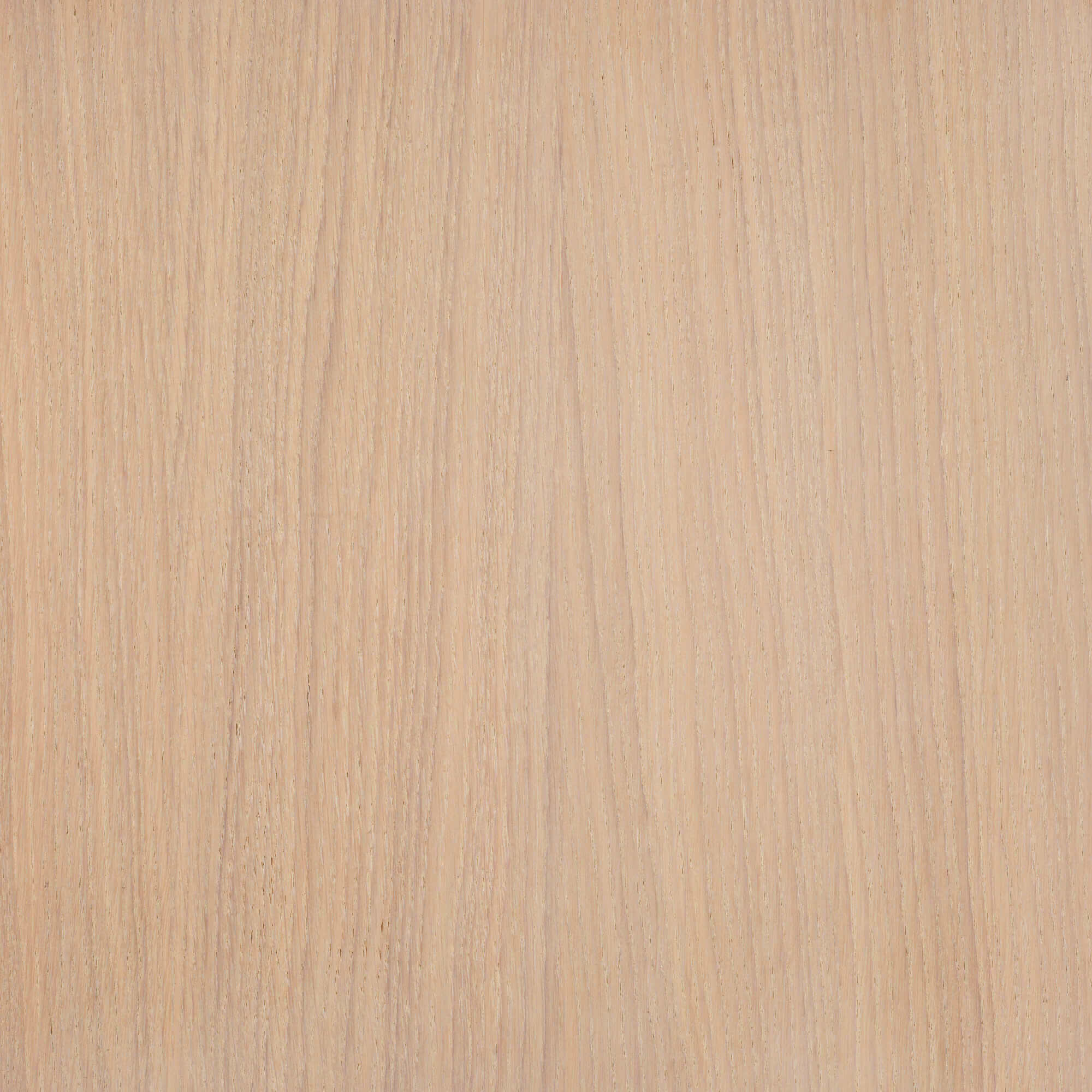 Oil Plus 2C - 1.3 Liter - Image 85