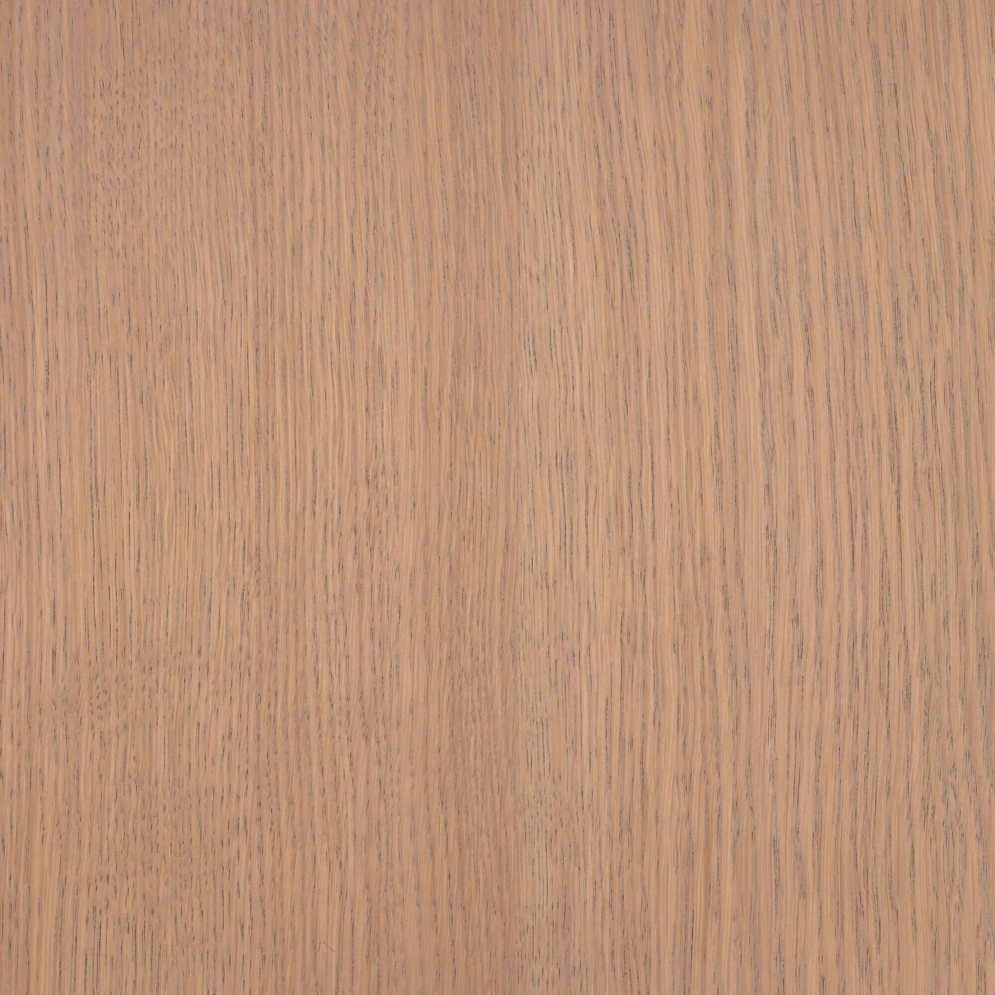 Oil Plus 2C - 1.3 Liter - Image 37