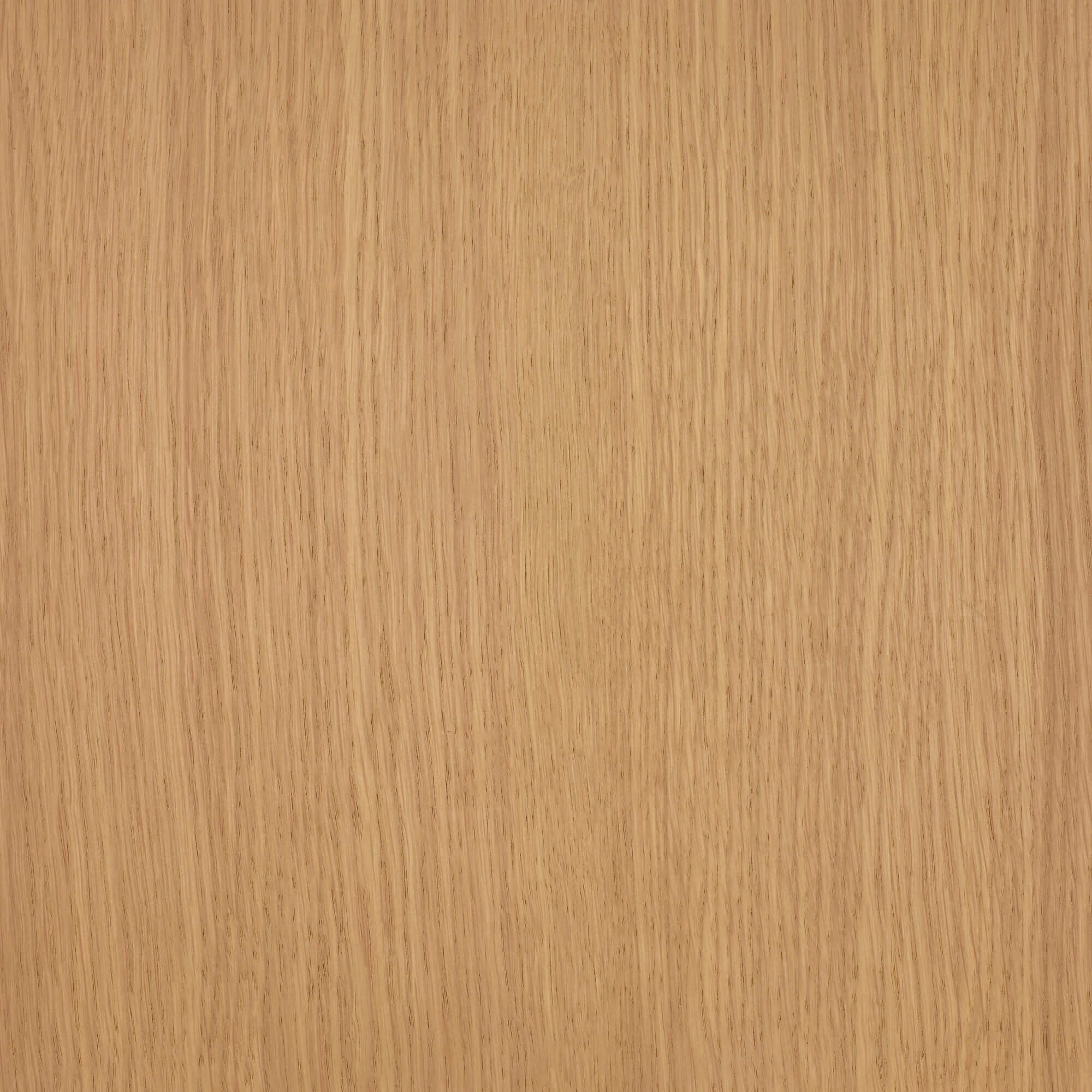 Oil Plus 2C - 1.3 Liter - Image 40