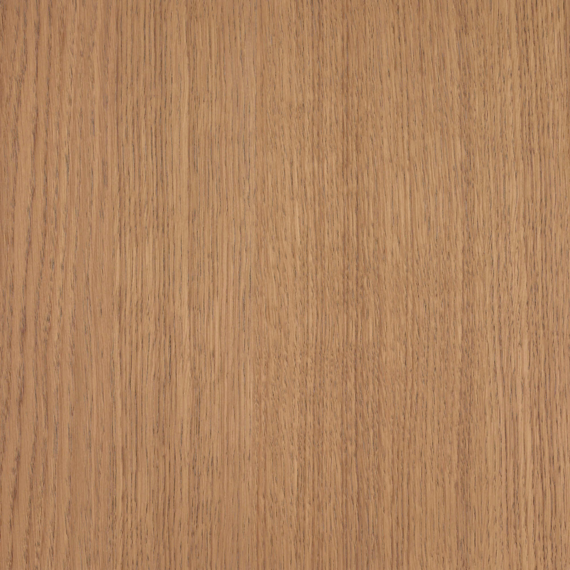 Oil Plus 2C - 1.3 Liter - Image 100