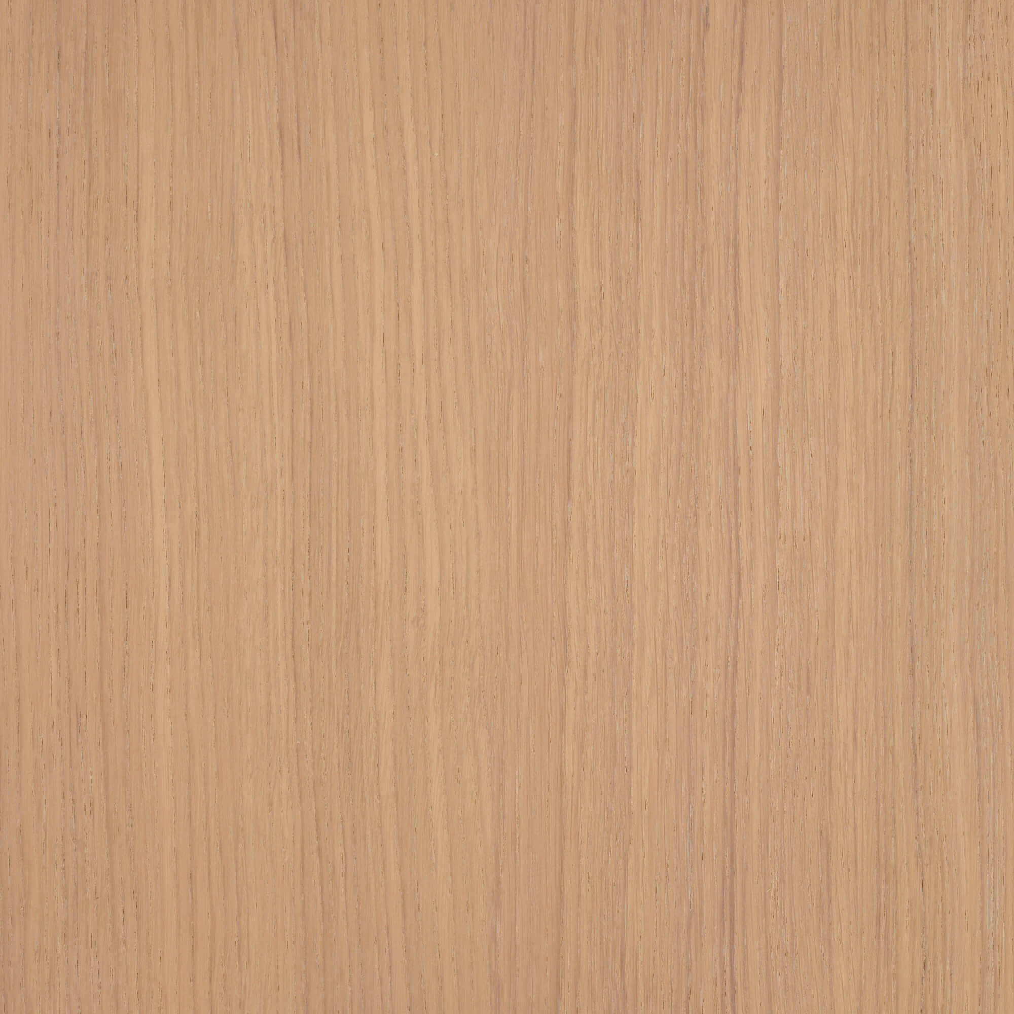 Oil Plus 2C - 1.3 Liter - Image 103